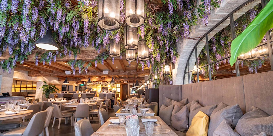 Cheshire Network x Victors Hale